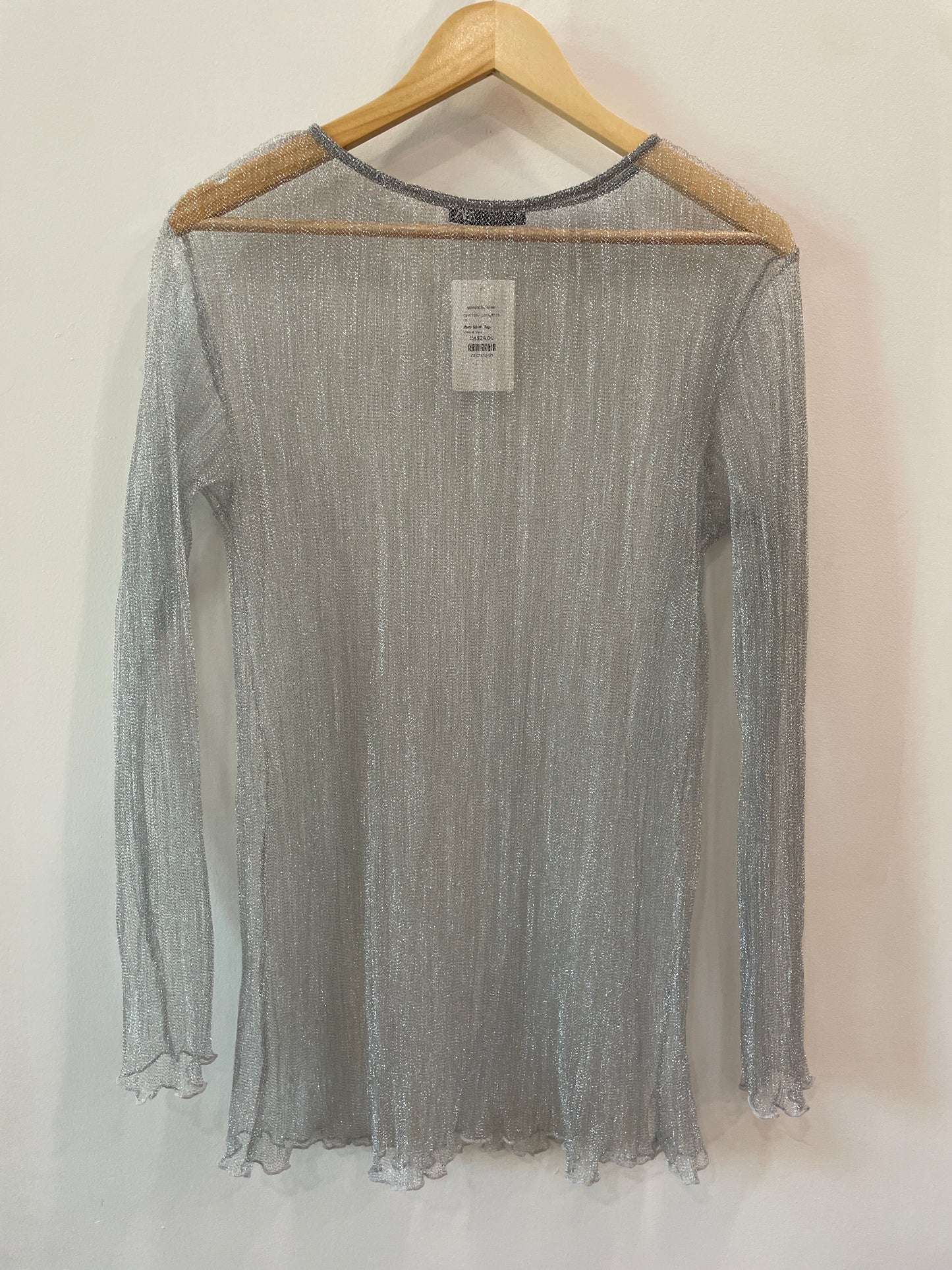 Zara Silver Top