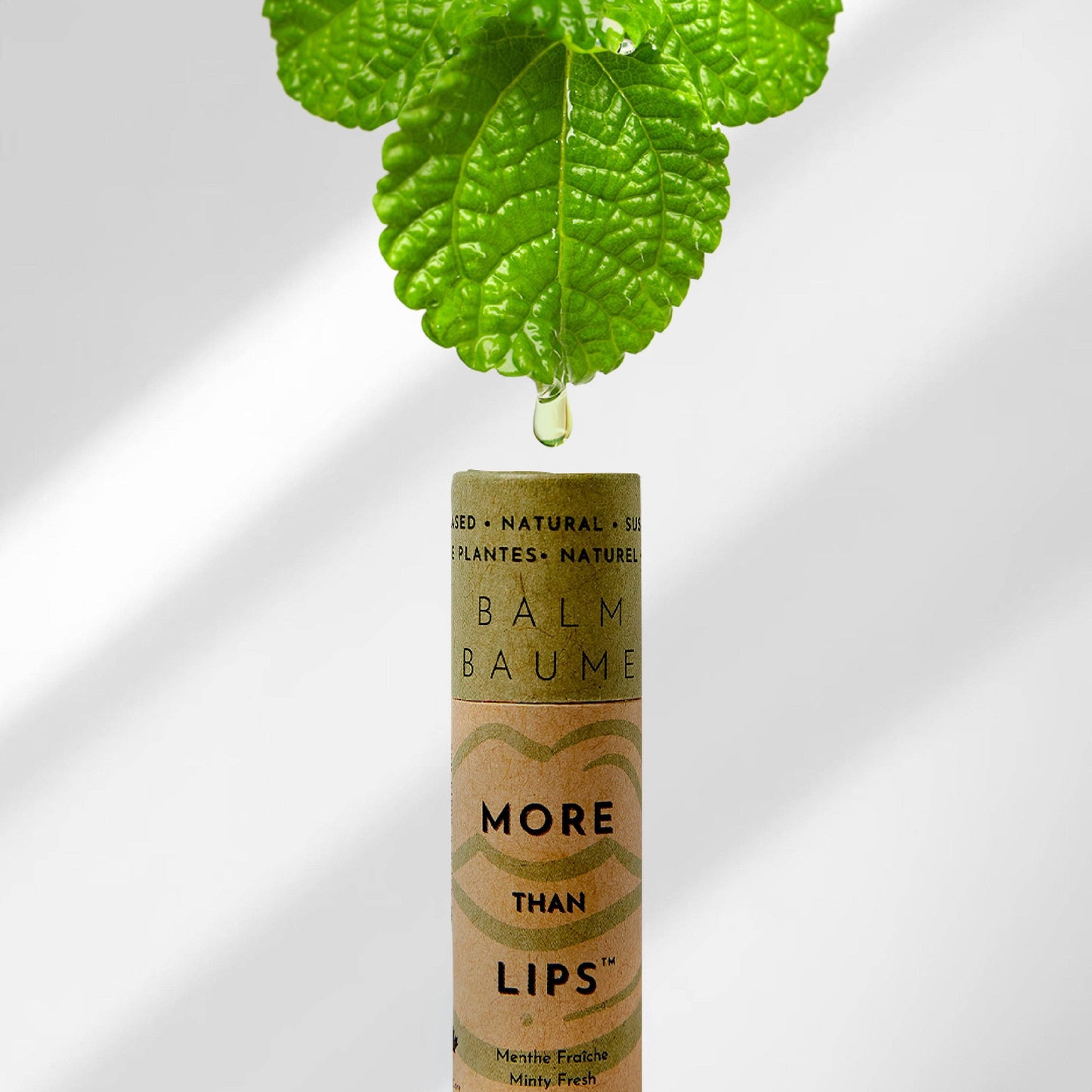 Vegan Lip Balm - Minty Fresh